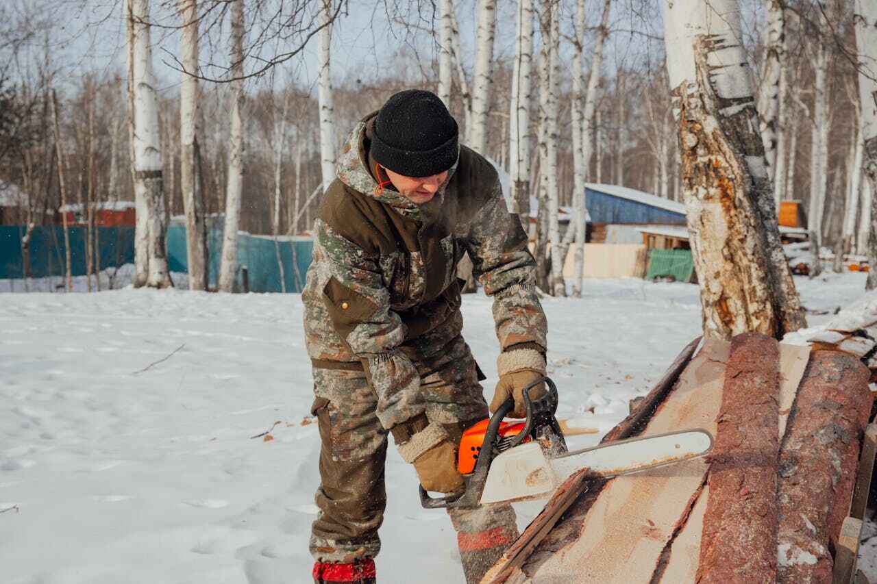 Tree Removal for Businesses in Coal Creek, CO